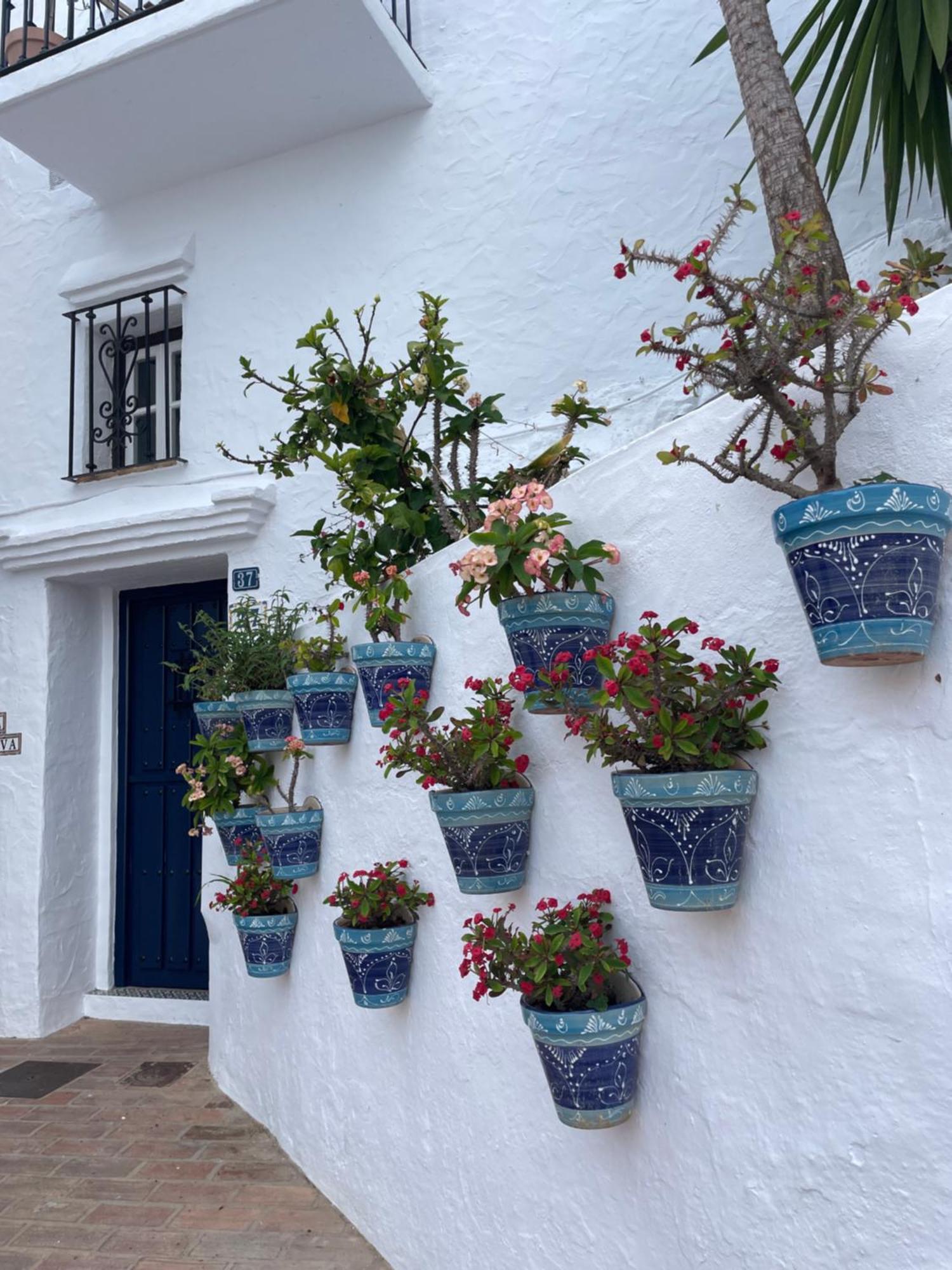 Buena Vista Apartment, 3 Bedrooms Sitio de Calahonda 外观 照片